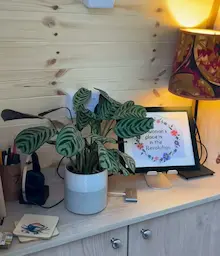 garden office pod interior video