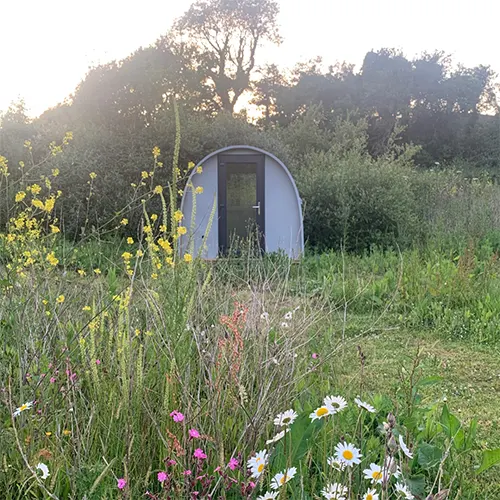 garden home studio