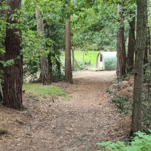 modern glamping pods